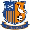 イビーヴェ新潟-公式-