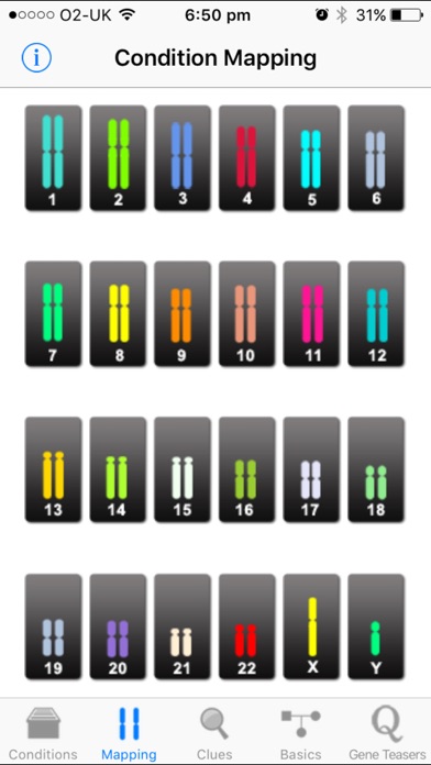 iPhone Screenshot 5