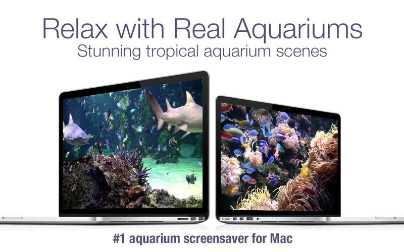 Marine Aquarium 3 Mac Torrent