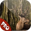 Easy Deer Hunting Calls Pro: Finest Hunting Calls