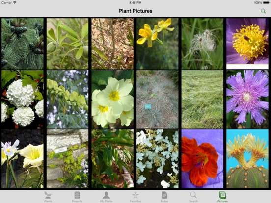 iPad Screenshot 2