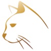 Cat Две наклейки обновления