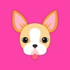 Animated Blonde Boston Terrier Stickers