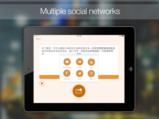 iPad Screenshot 3