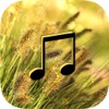 Wind Sounds - Wind Music,Relaxing and Sleep. at home wind turbines 