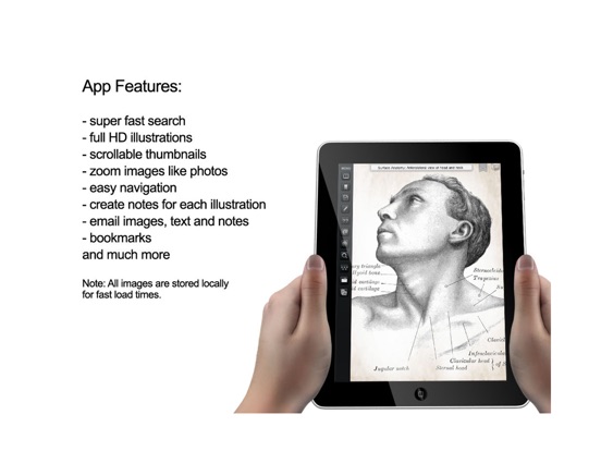 iPad Screenshot 3