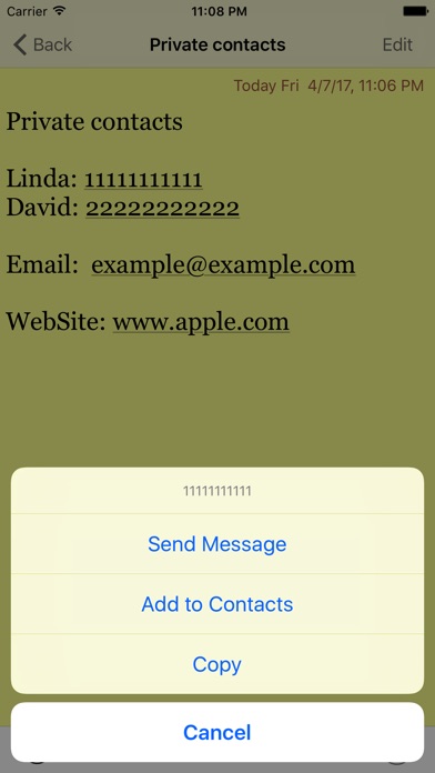 iPhone Screenshot 2