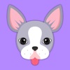 Animated Blue Boston Terrier Stickers