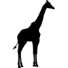 Jungle Girafes Deux Sticker Pack