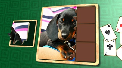 Jigsaw Solitaire Baby Animals screenshot 1