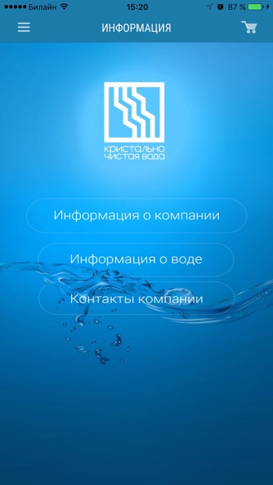 Снимок экрана iPhone 4