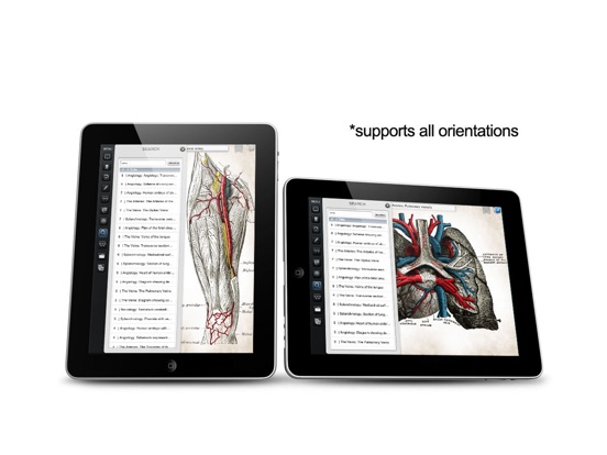 iPad Screenshot 4