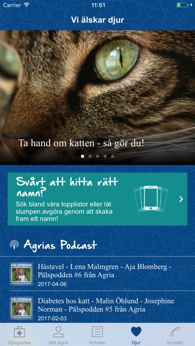 iPhone Screenshot 2