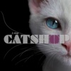 1StopCatShop! stampy cat 