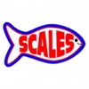 Scales Seafood - Fresh is best belleview meats seafood 