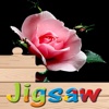 Amazing Flowers Jigsaw HD - Easy Learning Puzzles easy to grow flowers 