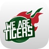 We Are Tigers cricket games 