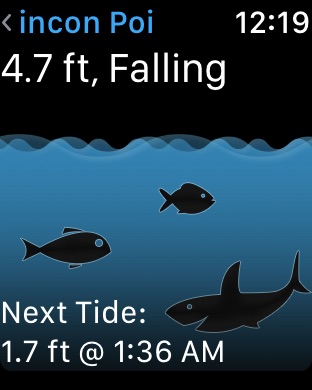 iPhone Screenshot 2