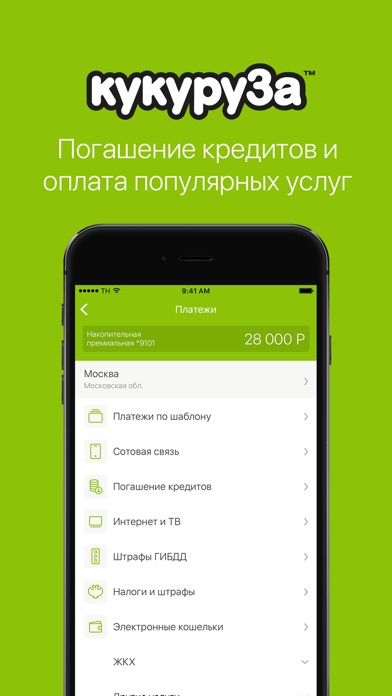 iPhone Screenshot 4