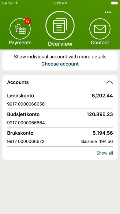 iPhone Screenshot 2