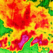 NOAA Radar Plus