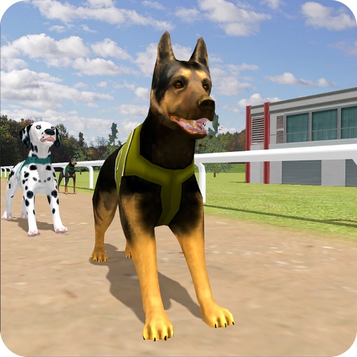 Dog Racing Simulator Game 2017