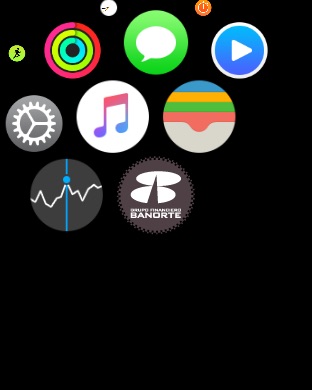 iPhone Screenshot 4