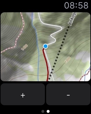 iPhone Screenshot 2