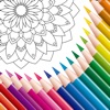 ColorColor: 大人のぬいぐるみ