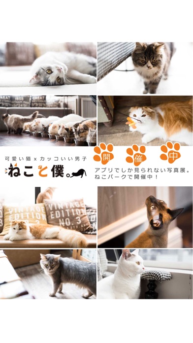 iPhone スクリーンショット 2