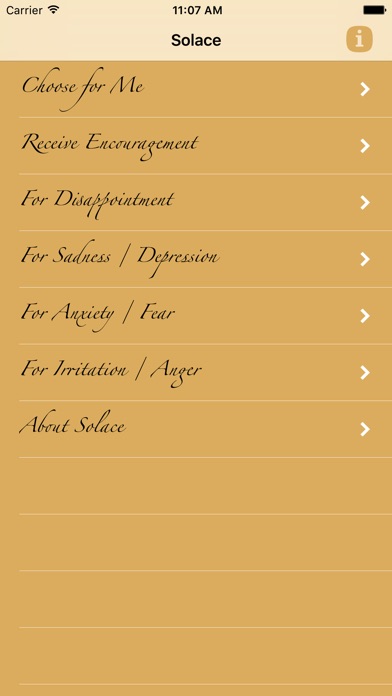 iPhone Screenshot 4