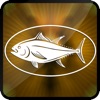 3D Bass Fishing Extreme River Juggle Flick