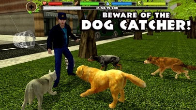 stray dog simulator free download