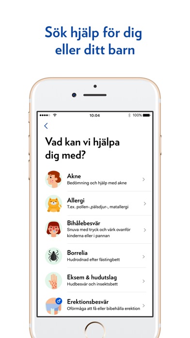 iPhone-skärmavbild 4