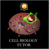 Cell Biology Tutor