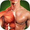 Human Anatomy 3D Pro - Bones And Muscles