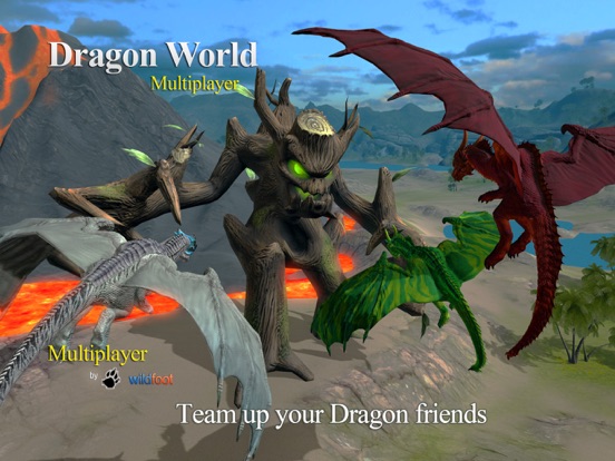 Dragon Multiplayer 3D на iPad