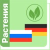 Фитословарь