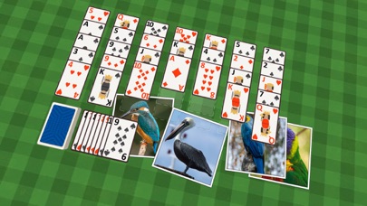 Golf Solitaire Birdsのおすすめ画像2