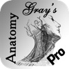 Gray’s Anatomy HD for Students