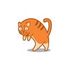 Catwalk - funny walking and talking cats & kittens walking dead
