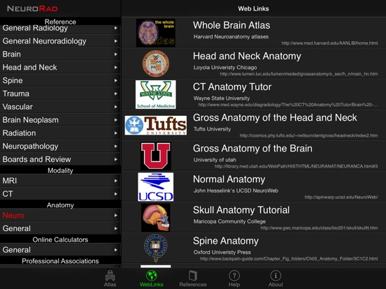 iPad Screenshot 3