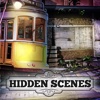 Hidden Scenes Mystery Puzzle complete