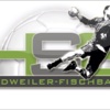 HSG Dudweiler/Fischbach handballs 