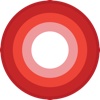 PrimaveraReader projects