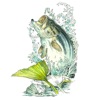 FishMate®