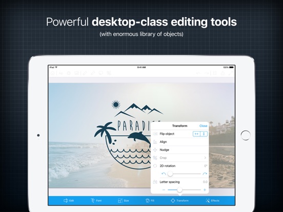 iPad Screenshot 4