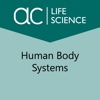 Systems in the Human Body body systems 