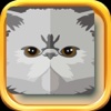 Persian Cat Stickers - Persian Cat Emojis messenger sticker translator