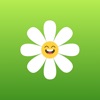 Petaloso